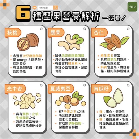 梔子花禁忌|梔子花：營養價值與成分、功效、禁忌、正確食用方法